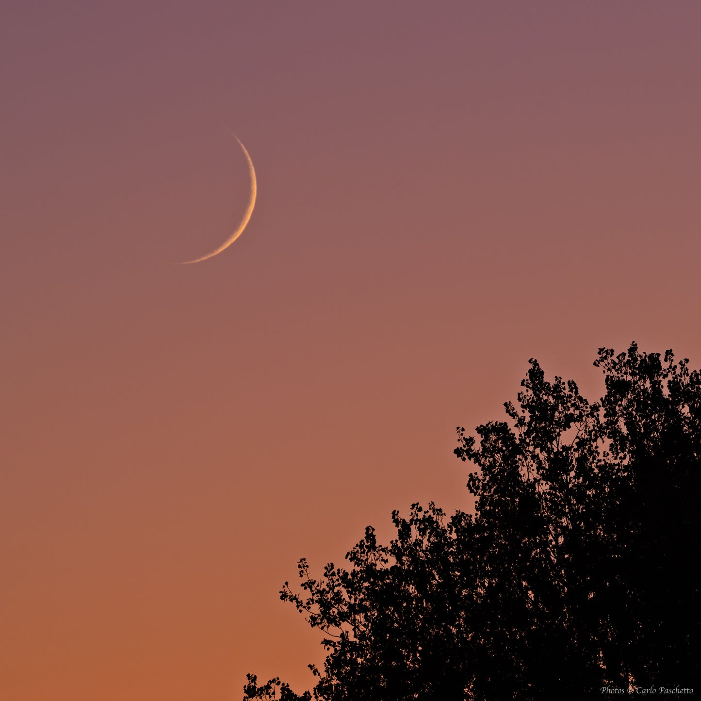 Luna nuova al tramonto n.2