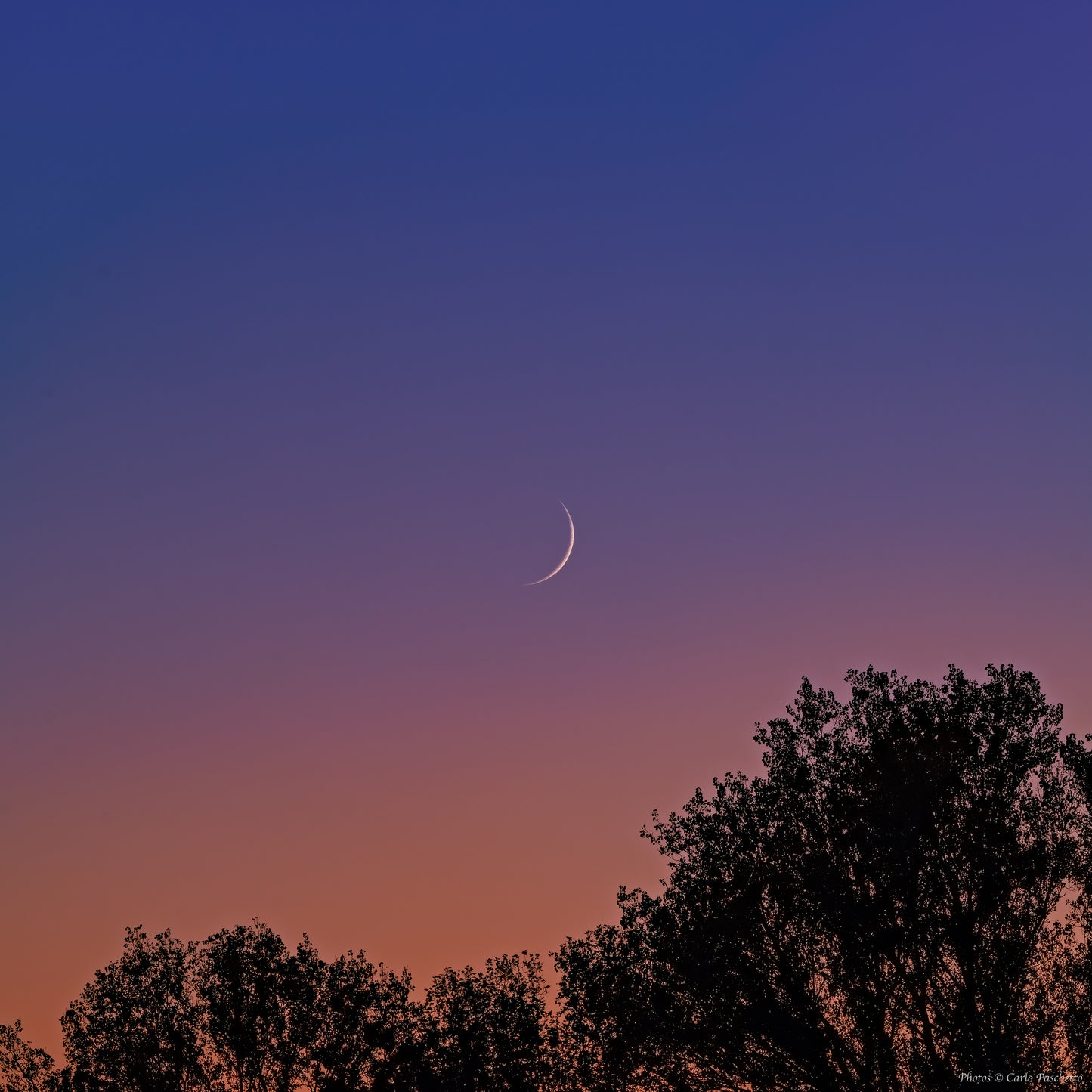 Luna nuova al tramonto n.1