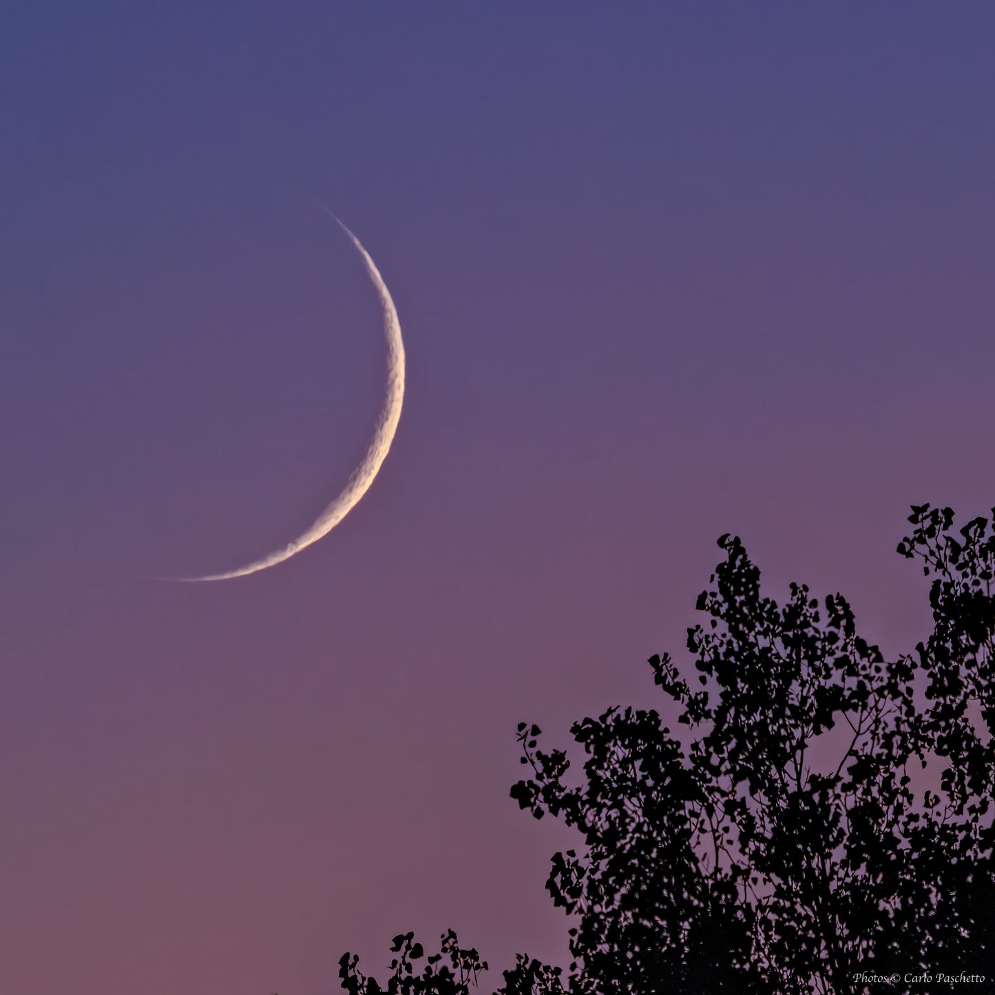 New Moon at sunset n.3