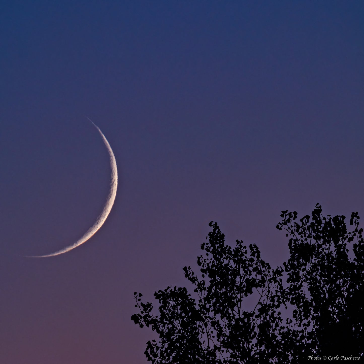 New Moon at sunset n.4