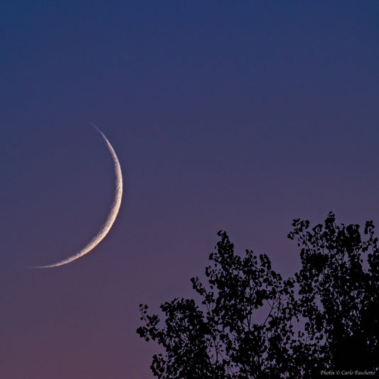 Luna nuova al tramonto n.4