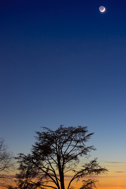 Tramonto n.1