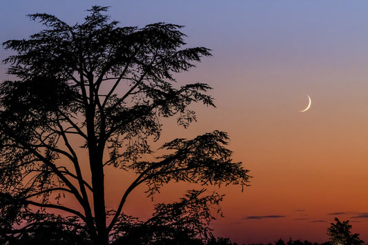 Tramonto n.2